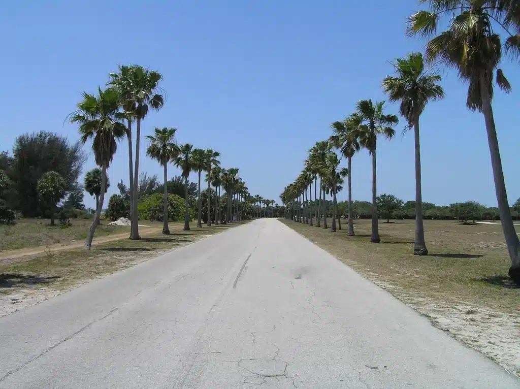A step in the wrong direction? Study shows Florida is the most dangerous state to be a pedestrian