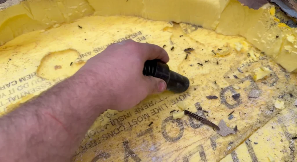 American restoring flying hovercraft that had sat abandoned for 10 years finds thousands of ants living inside it