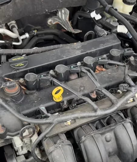 Illinois junkyard worker discovers Ford so rare everyone's trying to work out how many were ever made