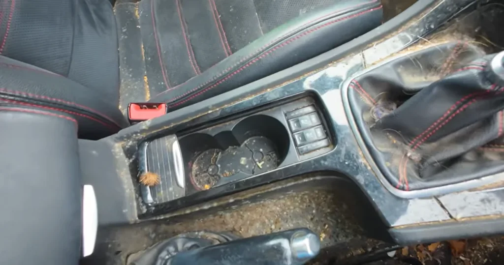 Man buys an extremely cheap $200 Ford Mondeo Titanium X Sport but wasn't prepared for what he found after seeing it in person