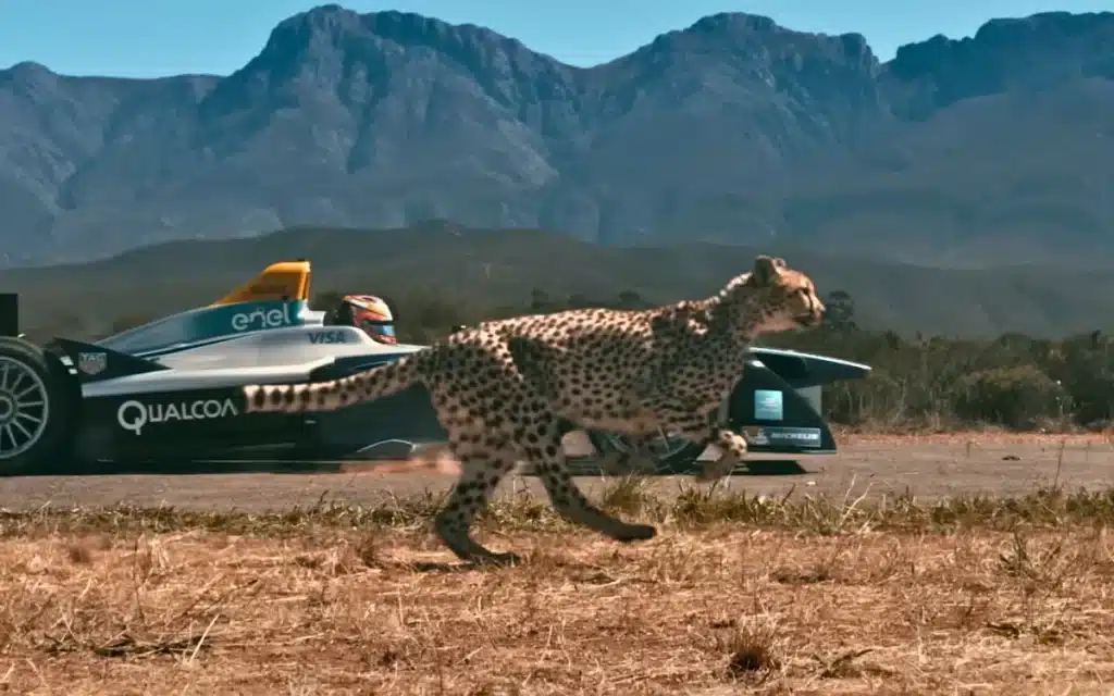 Popular YouTuber ﻿MrBeast raced a Formula E car against a cheetah, in aid of the Race for Survival campaign, and the end result was much closer than anticipated