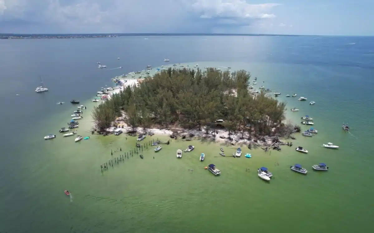 Stranded island turned into paradise