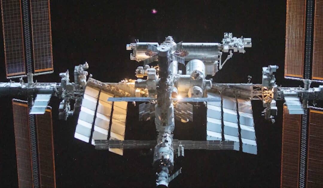 Astronaut Frank Rubio 's body changed after a year in space