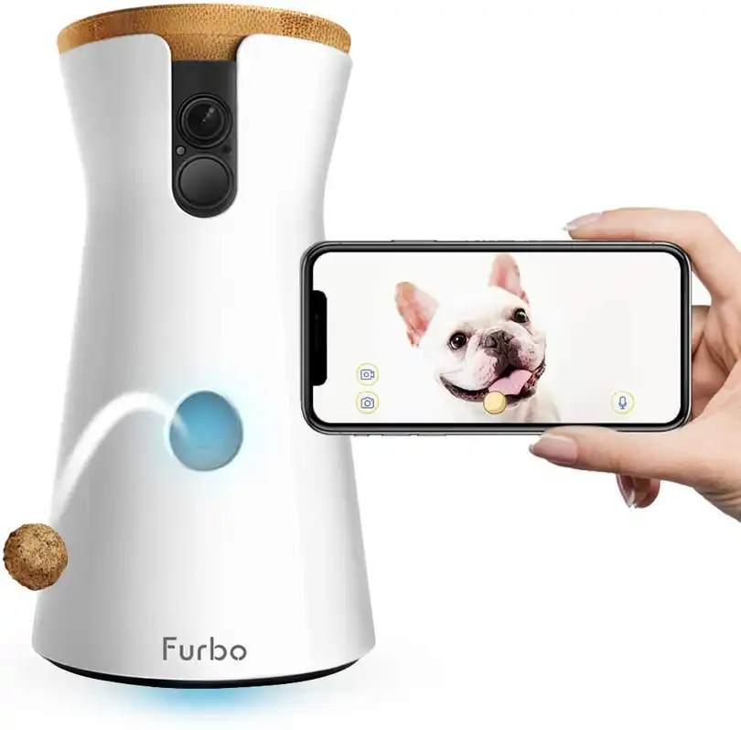 The Furbo dog camera can throw treats.