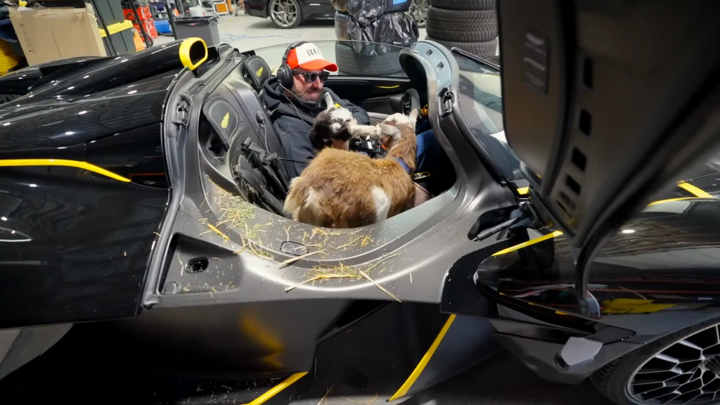 Aston Martin Valkyrie owner takes the ultimate hypercar out for a spin with some very unusual passengers in the back