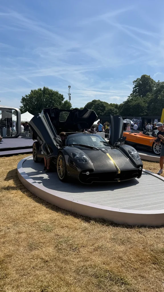 We were at Goodwood Festival of Speed and this is a sneak peek of everything we got up to there
