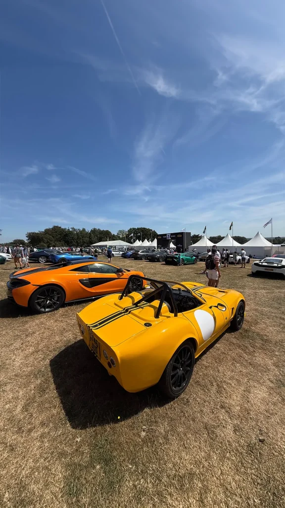 We were at Goodwood Festival of Speed and this is a sneak peek of everything we got up to there