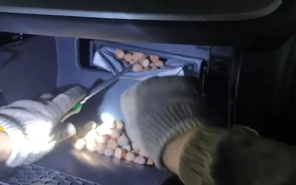 This Chinese man was left baffled after discovering the reason that his car stopped working was that it was stuffed with over 40lbs of hazelnuts