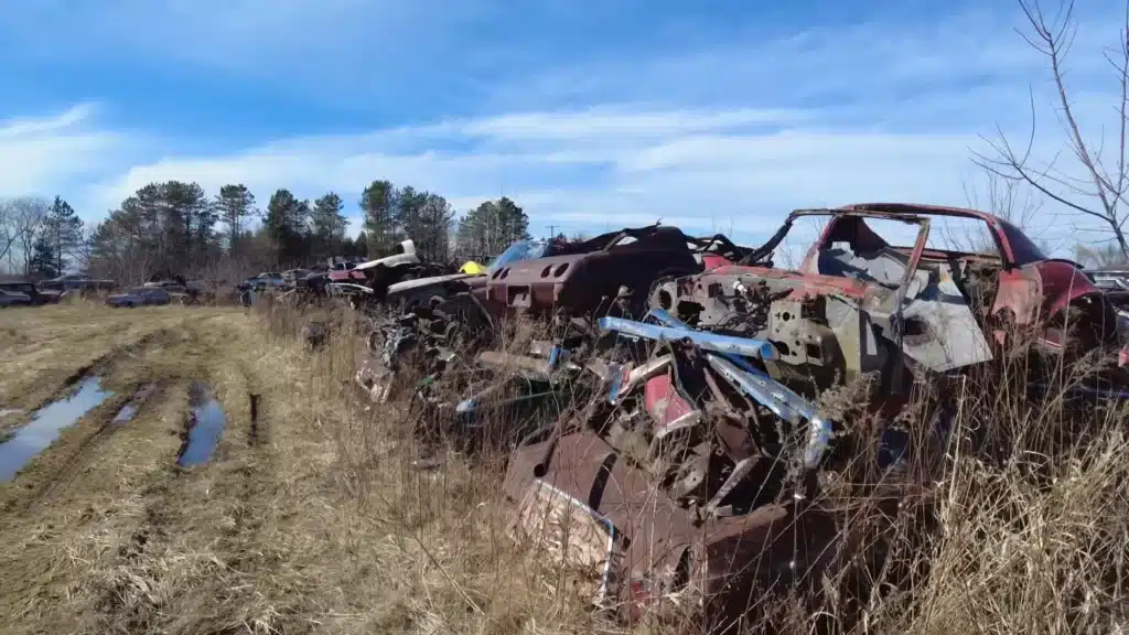 Private Michigan junkyard has been concealing a trove of killer muscle cars and Chevy Corvettes collected in highly unusual way