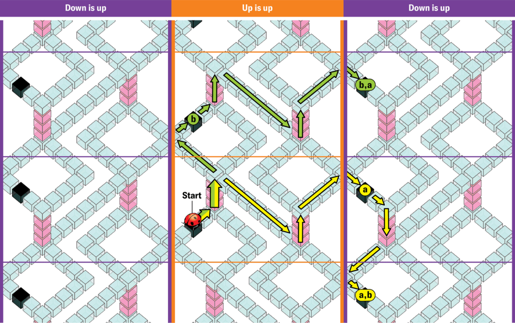 'Impossible' shape that shouldn't exist has been created by mathematicians and it's a genuine paradox
