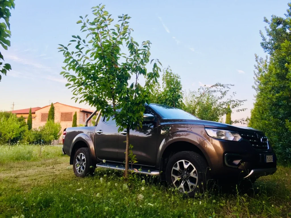 In general, pickup trucks are very popular in North America, relatively common everywhere else, but completely ignored in Europe