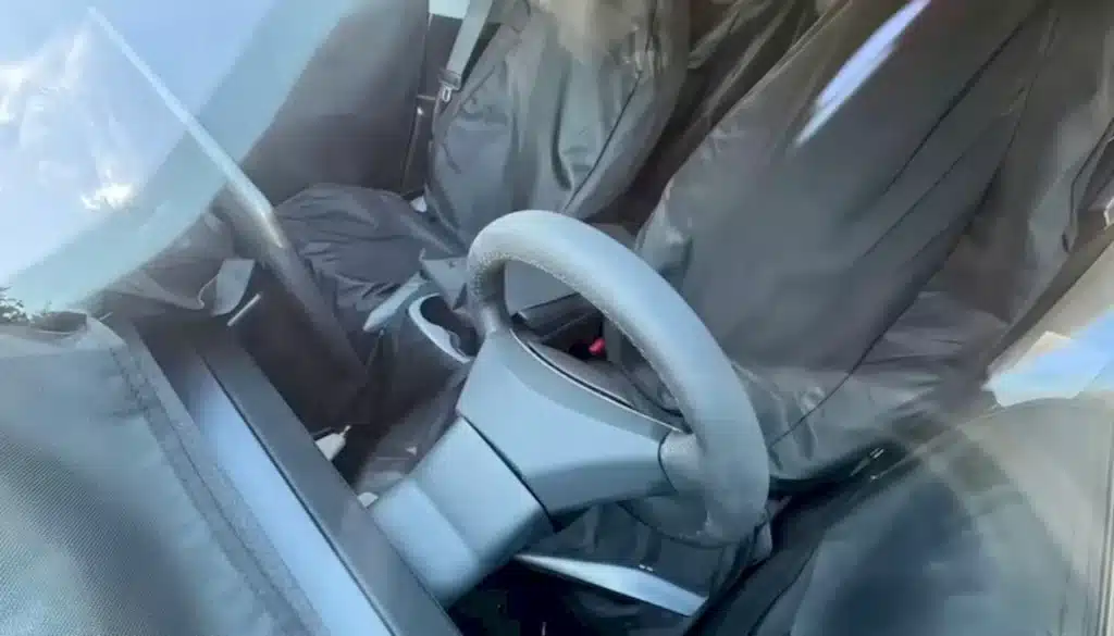 Could a stripped down, cheapest Tesla really get the brand out of its difficulties?