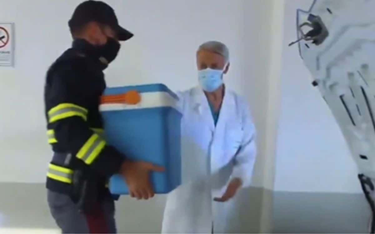 Italian Police deliver kidney