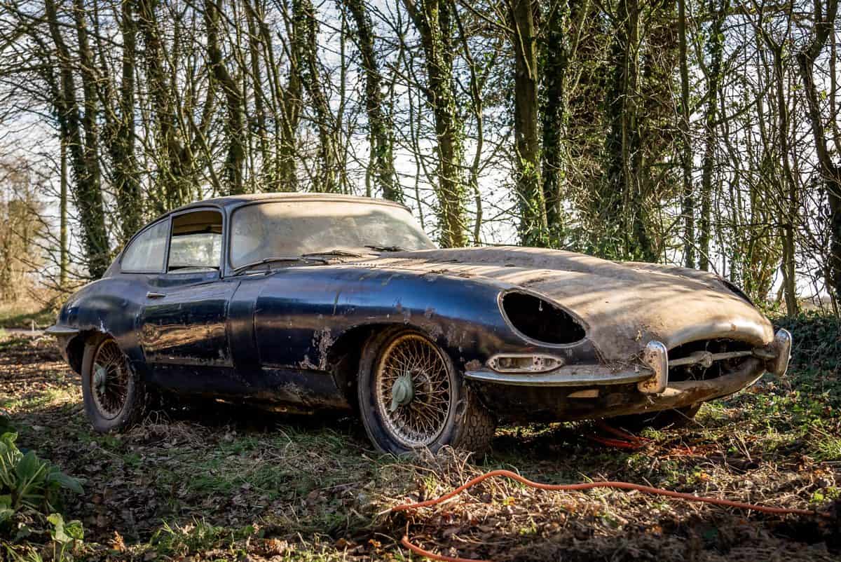 The E-Type Jaguar seeing its first sunlight in 50 years.