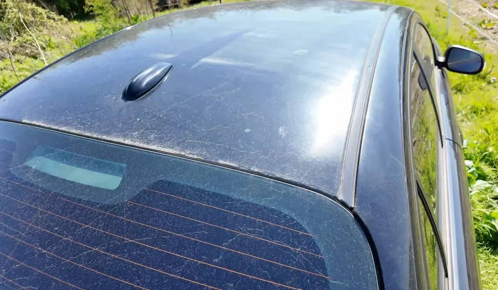 Man buys 2008 Jaguar X-Type Sport for $406 after it had been sitting abandoned for years and quickly wonders if he's made a mistake