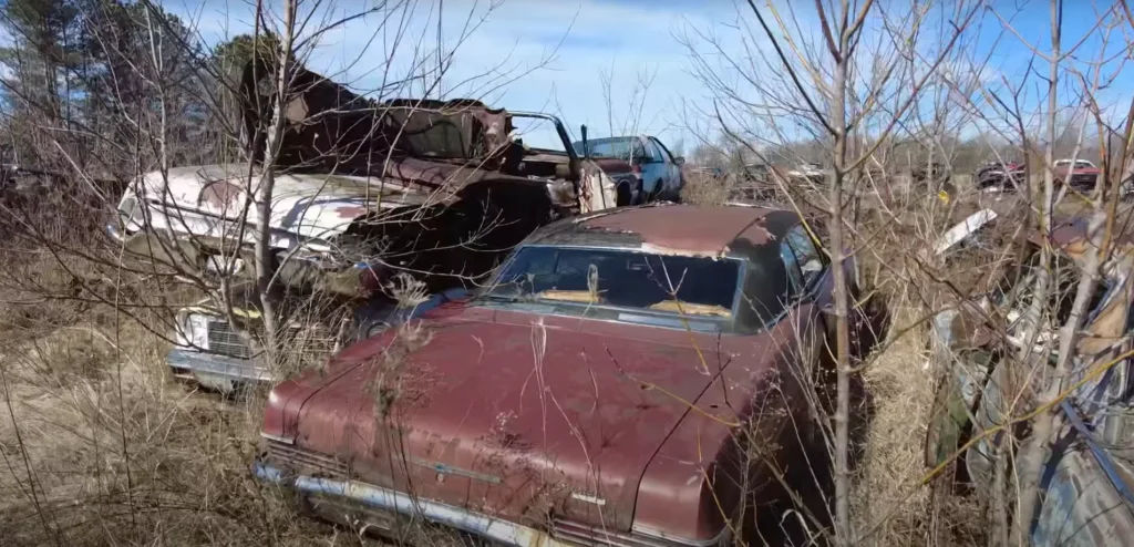 Secret Michigan junkyard hides twin Mach 1 Mustangs and forgotten muscle treasures