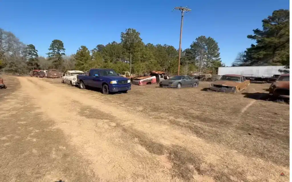 Classic Cars found in Southern Junkyard