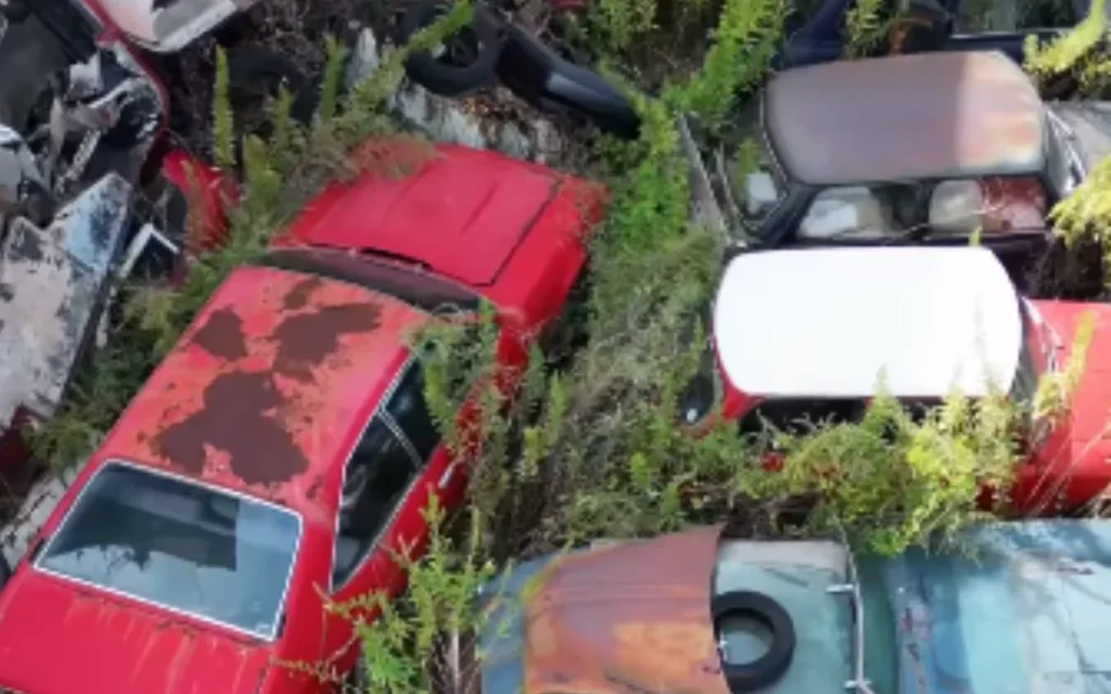 Man uncovers an abandoned luxury car dealership, and the cars inside are nothing short of unbelievable
