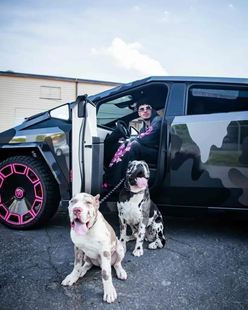 LaMelo Ball Cybertruck