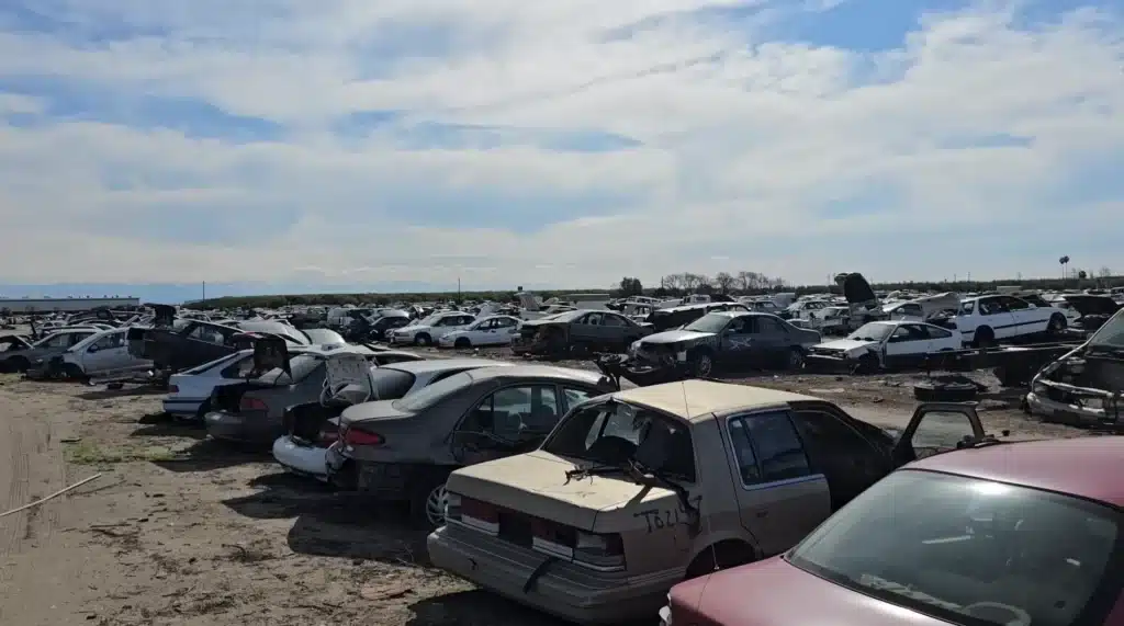 Classic American cars in junkyard