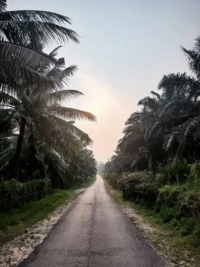 F1 driver Valtteri Bottas cycles 260 miles from Malaysia to Singapore instead of flying between race weekends