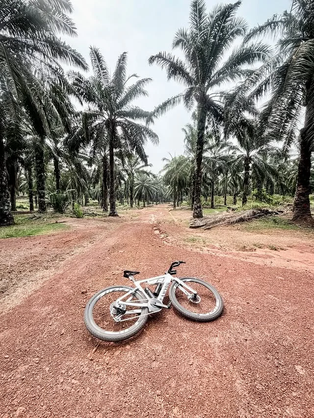 F1 driver Valtteri Bottas cycles 260 miles from Malaysia to Singapore instead of flying between race weekends