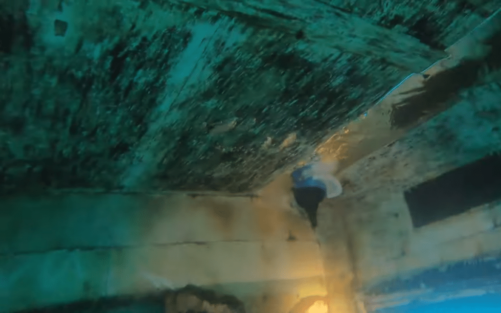 Man discovers very strange find while scuba diving in the river