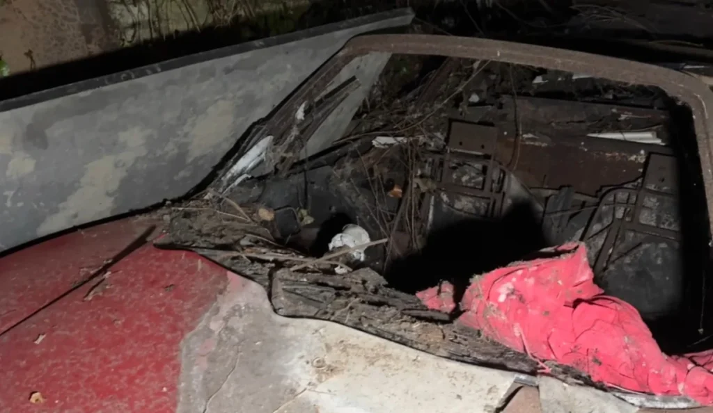 Discover rare cars and automotive treasures hidden within this incredible UK discovery, which stands as the biggest barn find in recent history