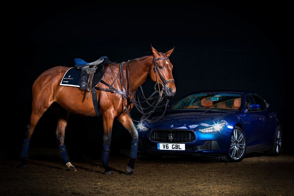A horse, tacked up with the Maserati commemorative saddle stands in front of a Ghibli at night.