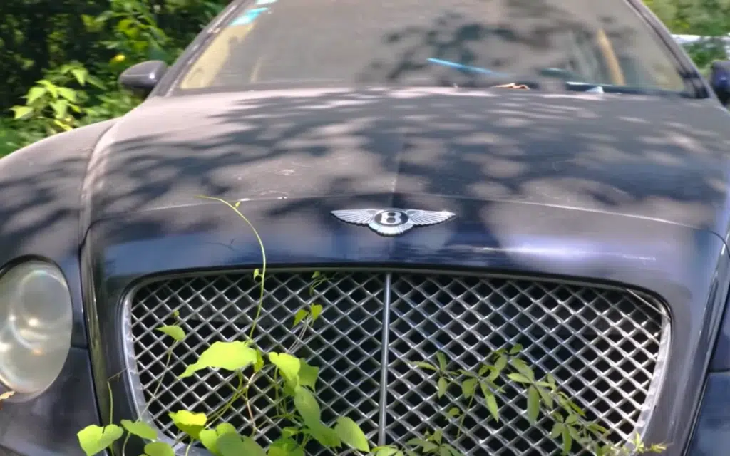 Men managed to get inside supercar graveyard in China and discovered Bentleys Porsches and Aston Martins rotting away