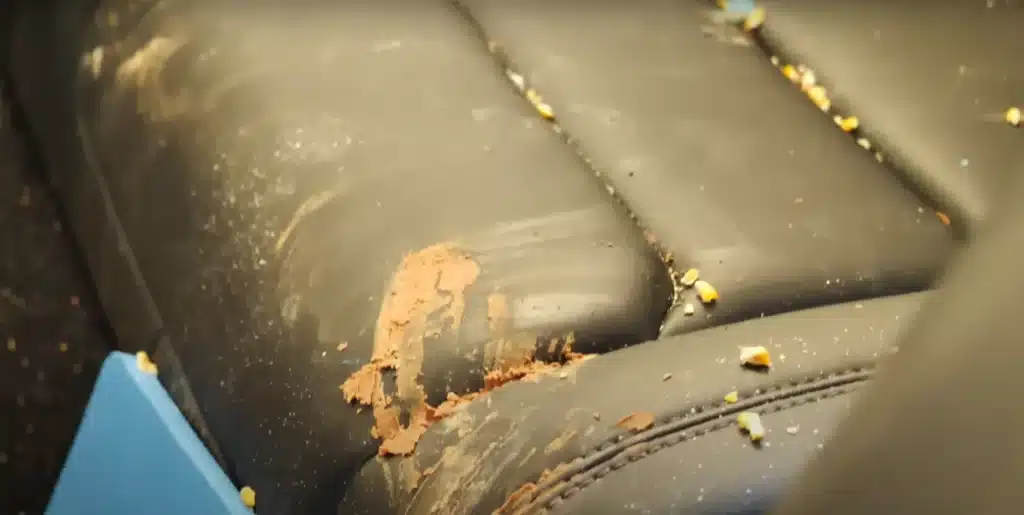 Ohio man revives 'world's dirtiest Tesla' in amazing Lazarus-like transformation