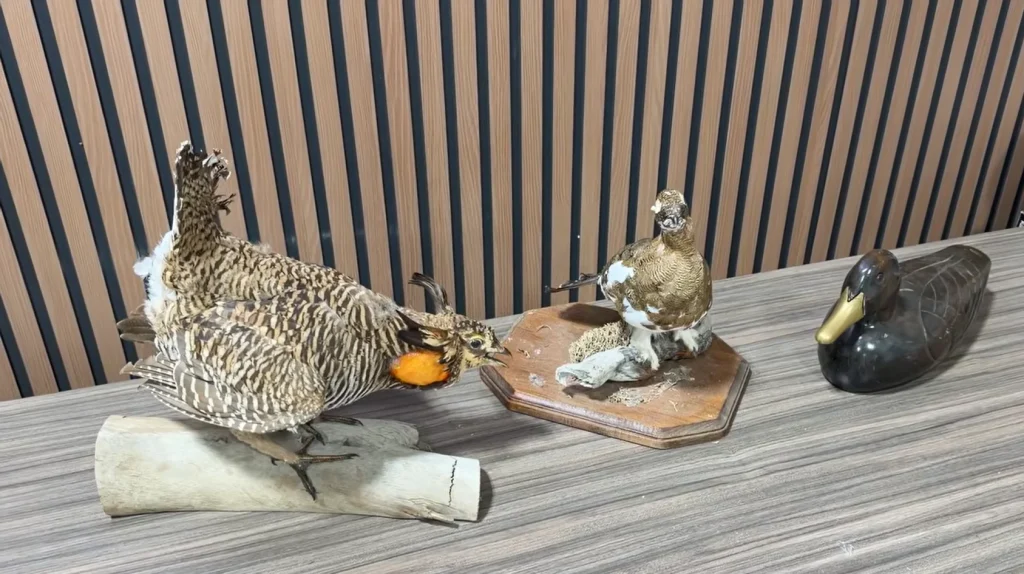 Georgia man buys millionaire's abandoned PODS container for $2,050 and finds some interesting tech inside