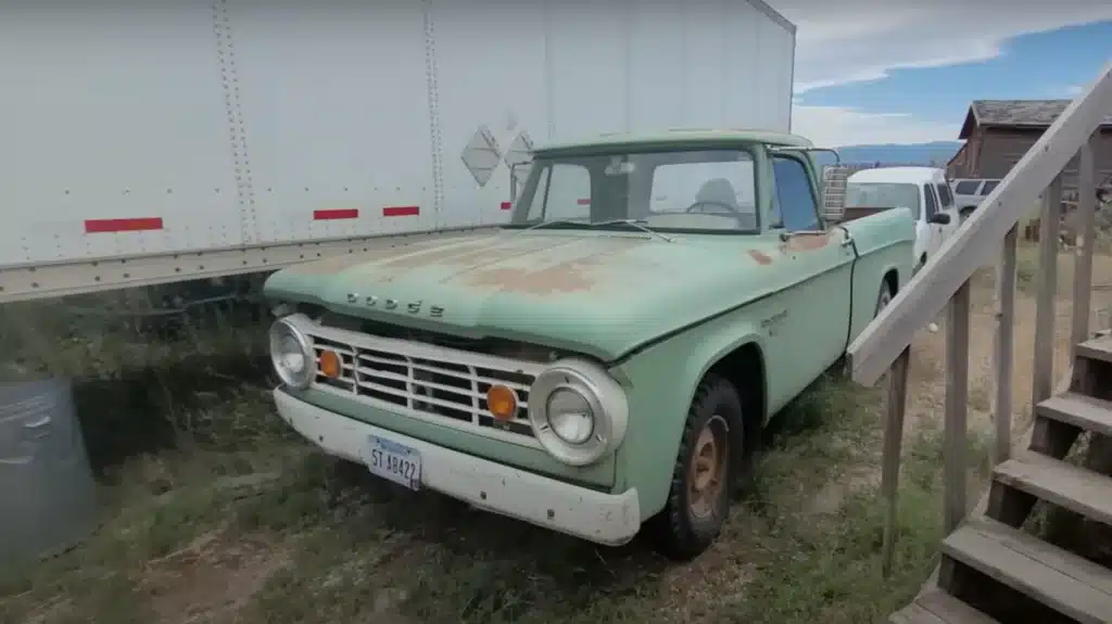 Montana

Car graveyard