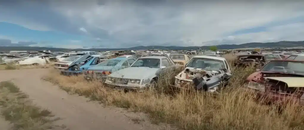 Montana

Car graveyard