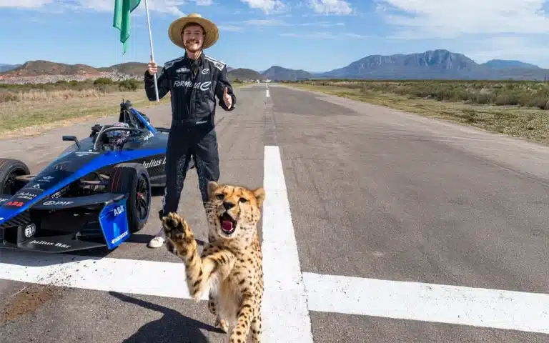 Popular YouTuber ﻿MrBeast raced a Formula E car versus a cheetah, in aid of the Race for Survival campaign, and the end result was much closer than anticipated