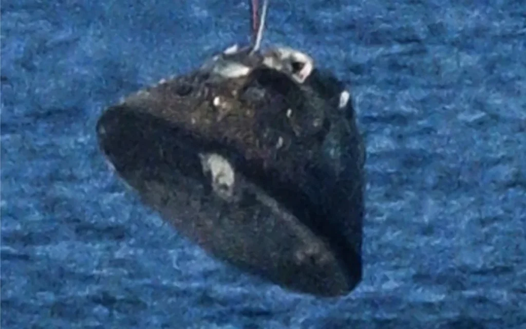 NASA has confirmed what the ‘missing chunk’ from the bottom of the Orion spacecraft was after the Artemis II mission safely returned to Earth