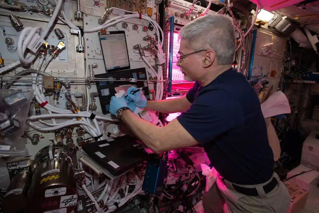 NASA astronaut spends record-breaking 355 days in space