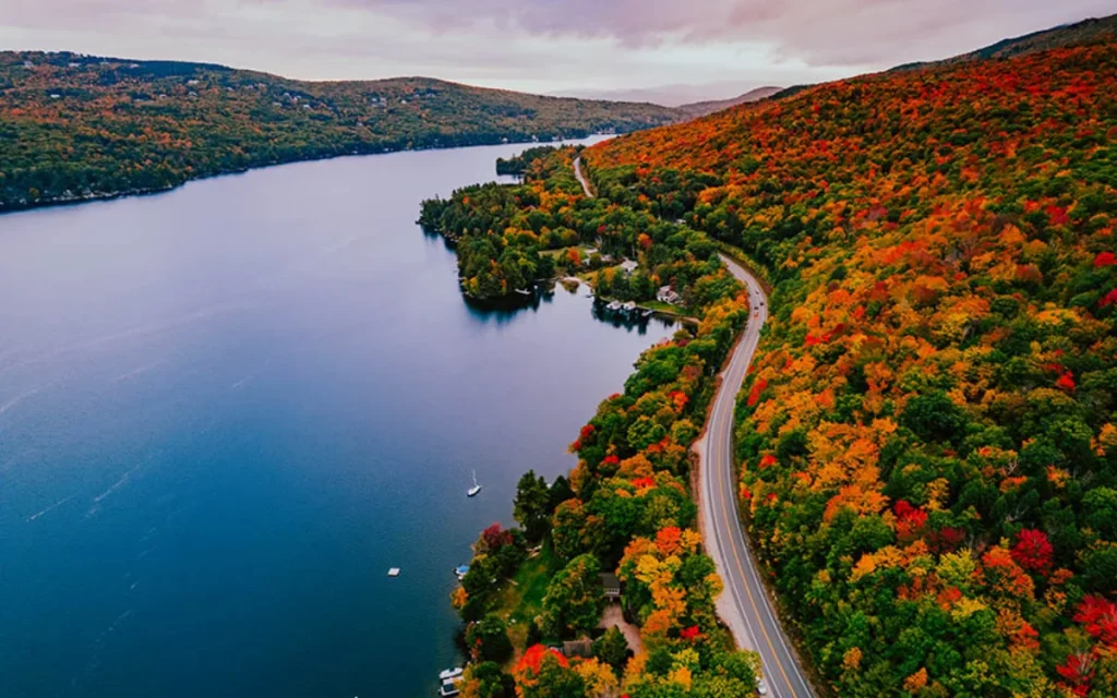 New Hampshire is the only state that doesn't require you to purchase auto insurance - but there is a very expensive catch