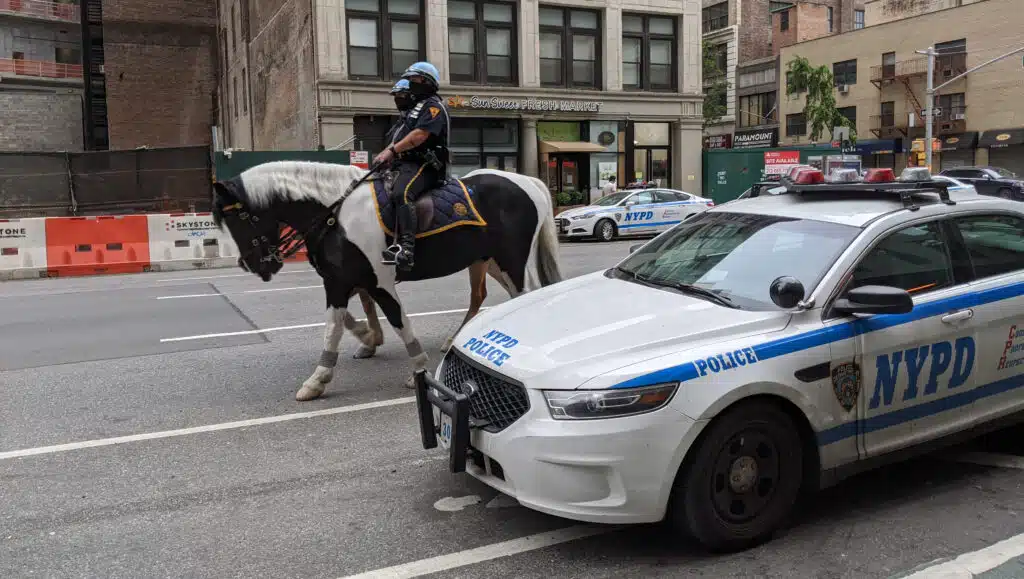 Seriously strange vehicles, kei trucks, Smart cars, and old hybrids are still used by local governments across the US for official duties
