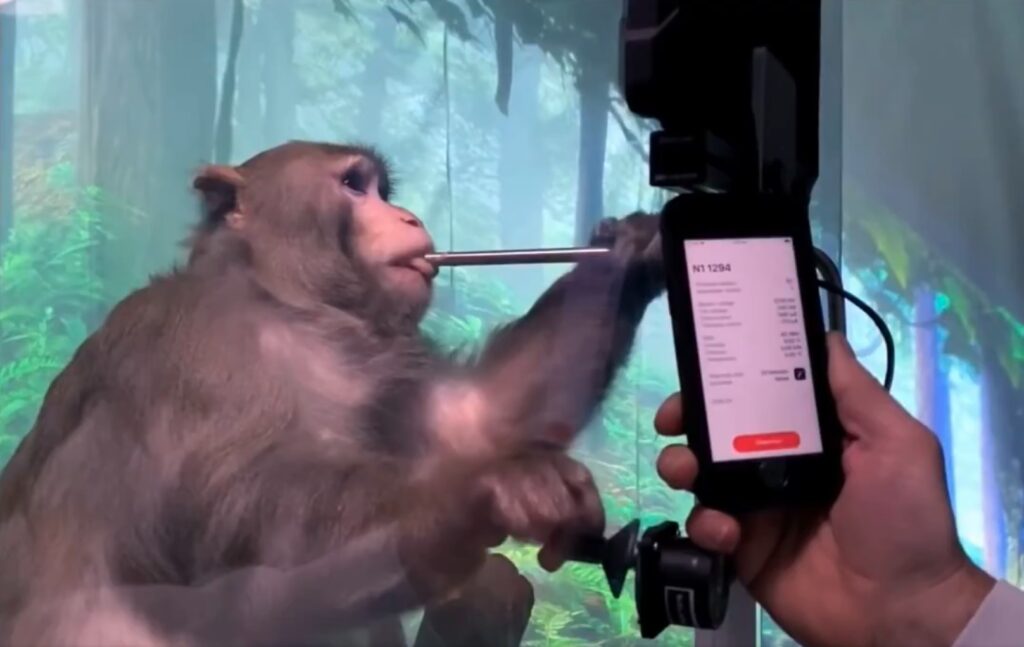 Neuralink testing its computer chip in monkeys