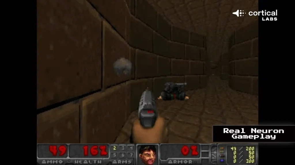 A petri dish full of living human neurons just learned to play Doom and scientists say this is only the beginning