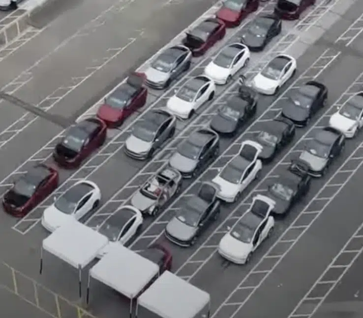Drone footage from Tesla Fremont Factory may have just provided a huge new sighting