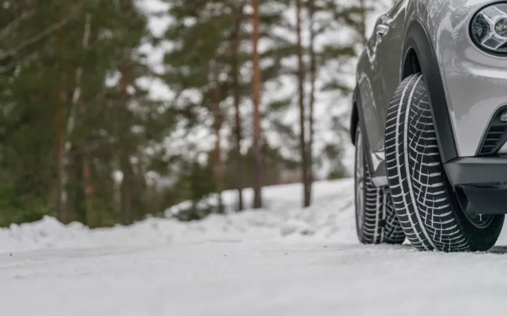 Consumer reports say these tires are the best all-weather tires in the world