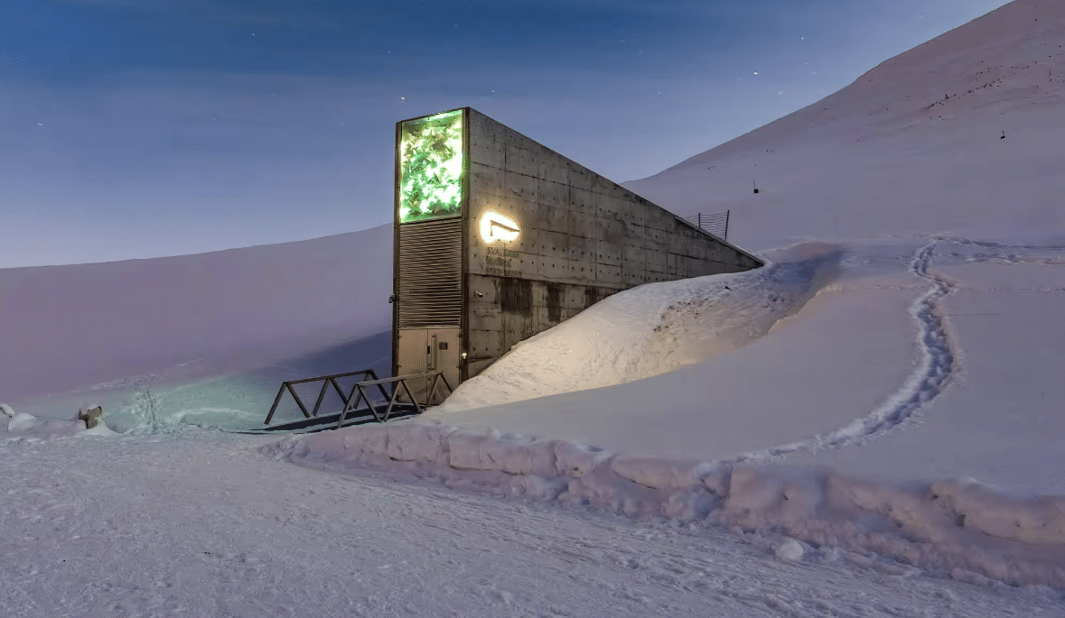 The 'doomsday' vault under snow and ice