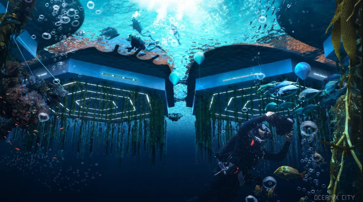 Marine eco systems underneath the floating city