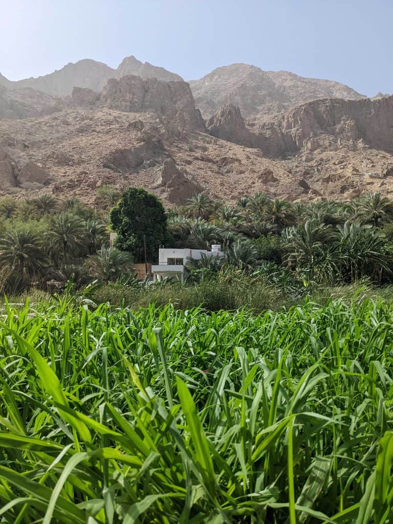 The village of Wadi Tiwi in Oman.