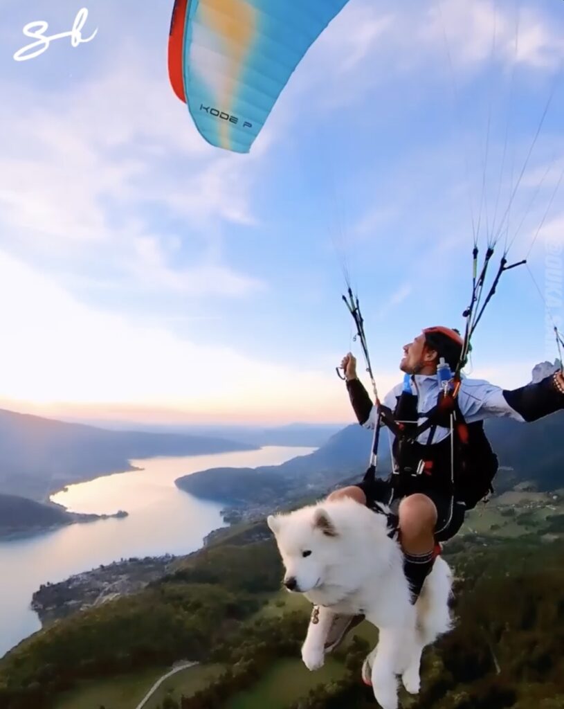 Ouka the paragliding dog