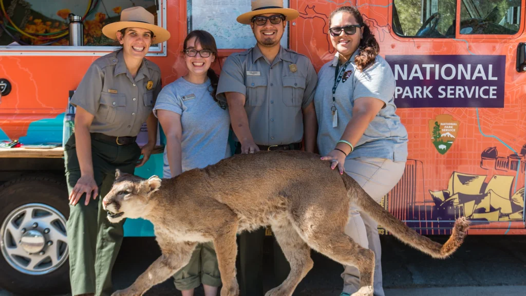 World's biggest wildlife bridge in California- the Wallis Annenberg Wildlife Crossing - is nearly finished three years later