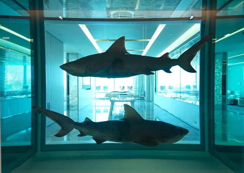Shark tank by Damien Hirst - most expensive hotel room 