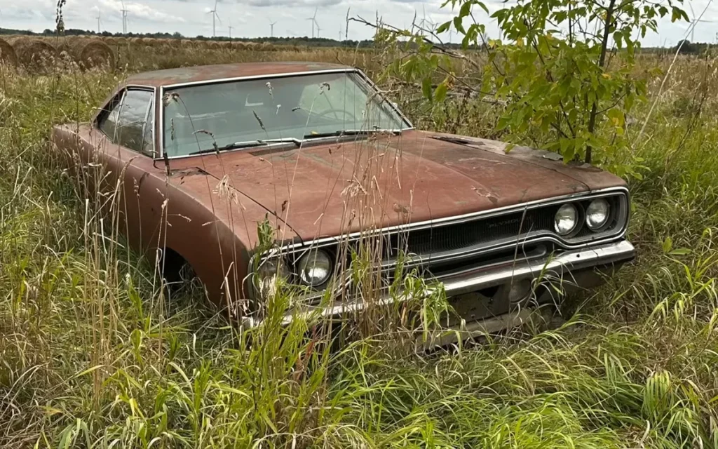 Whilst exploring a Canadian island, this man found an abandoned Plymouth Road Runner buried beneath weeds, and it's a sorry sight for such a 1970s legend